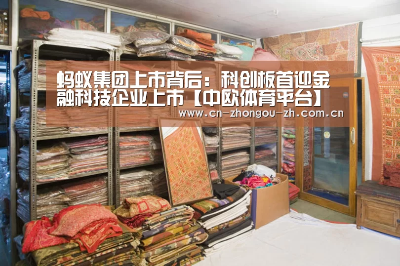 蚂蚁集团上市背后:科创板首迎金融科技企业上市【中欧体育平台】(图1) zoty体育