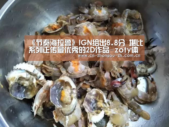 《节奏海拉鲁》IGN给出8.8分 堪比系列正传最优秀的2D作品-zoty体育(图1) zoty体育