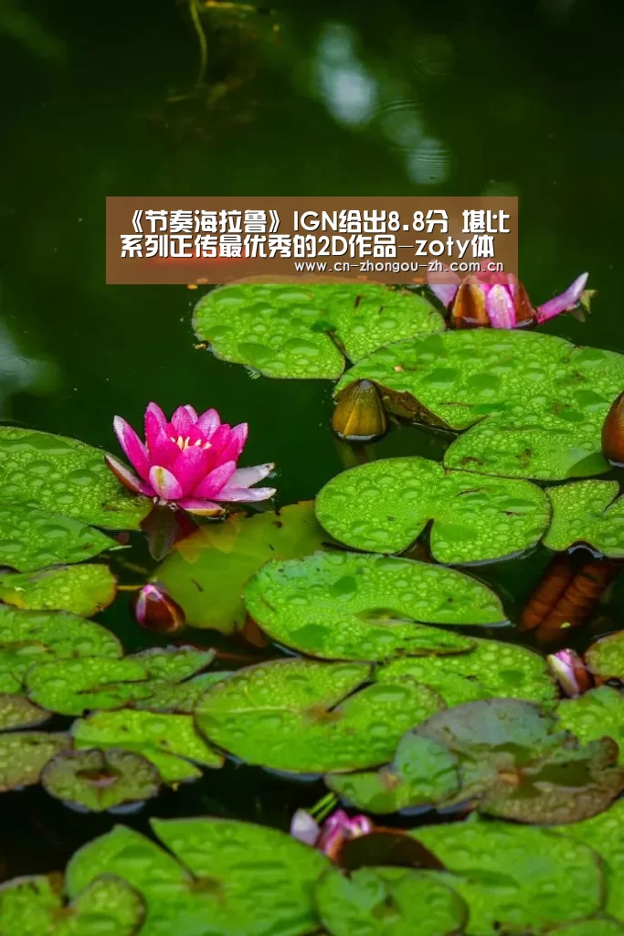 《节奏海拉鲁》IGN给出8.8分 堪比系列正传最优秀的2D作品-zoty体育(图2) 中欧体育平台