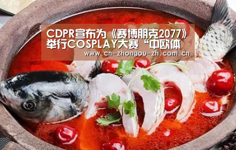 CDPR宣布为《赛博朋克2077》举行COSPLAY大赛“中欧体育平台”(图1) 中欧体育